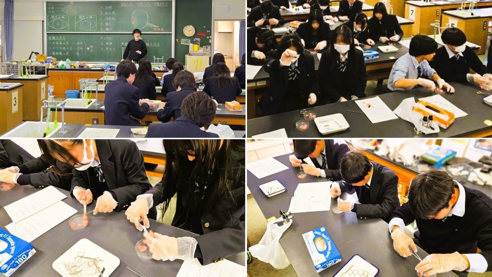 260125　生物冬期講習報告21　本文